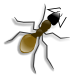 ant.png