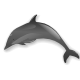 dolphin.png