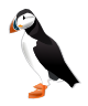 puffin-md.png