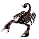 scorpion-md-v0.png